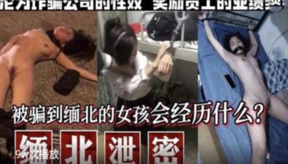 被骗到缅北的女孩会经历什么}