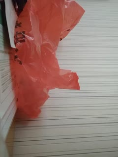 看自己老婆被操}