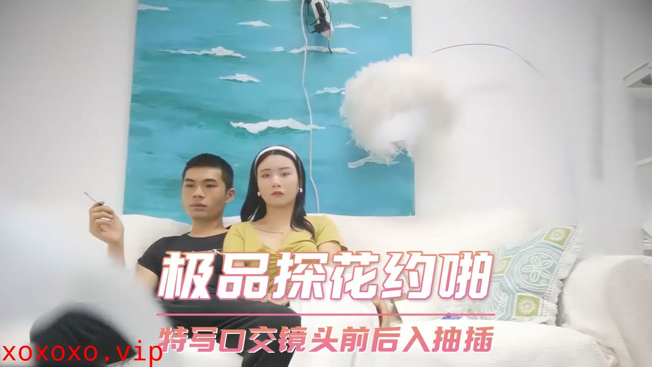 极品探花约啪-特写口交镜头前后入抽插}